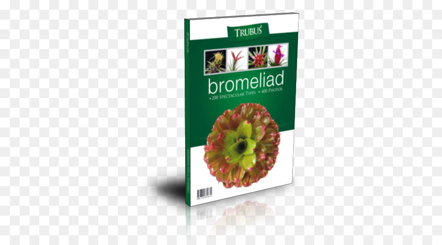 çöle Tarihleri Tropikal，Bromeliad 200 Seyahat Harika PNG