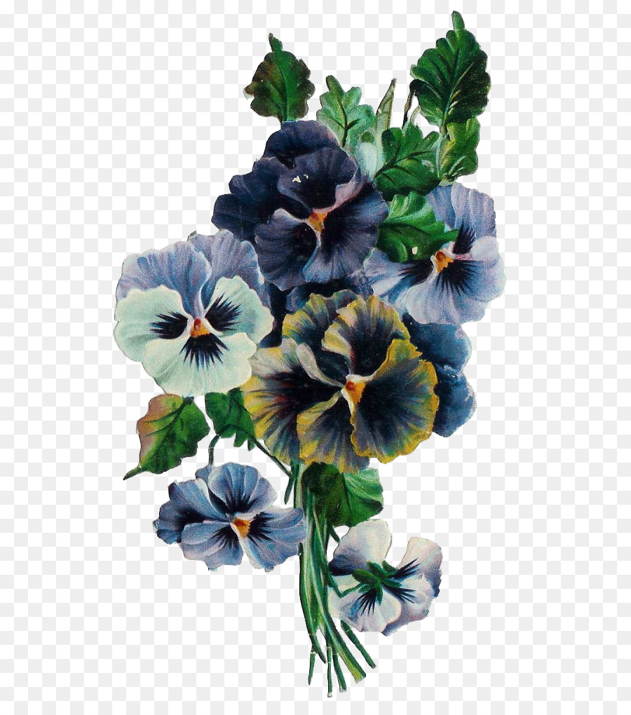 Havlu，çiçek PNG