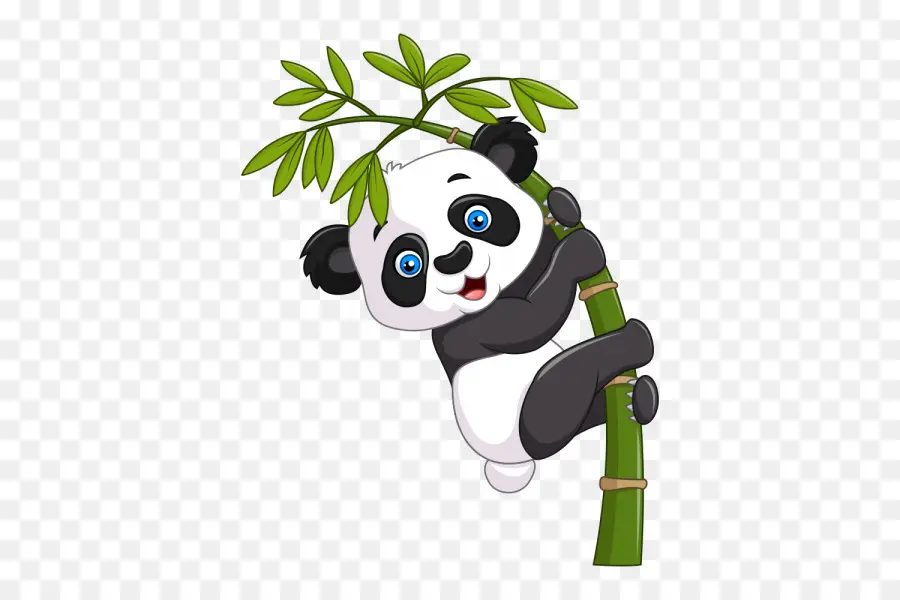 Panda，Karikatür PNG