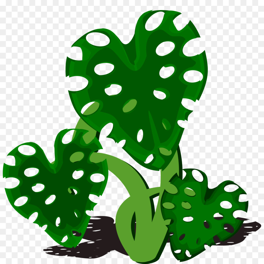 Philodendron，Yaprak PNG