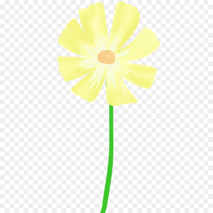 Daisy Aile，Kesme çiçekler PNG