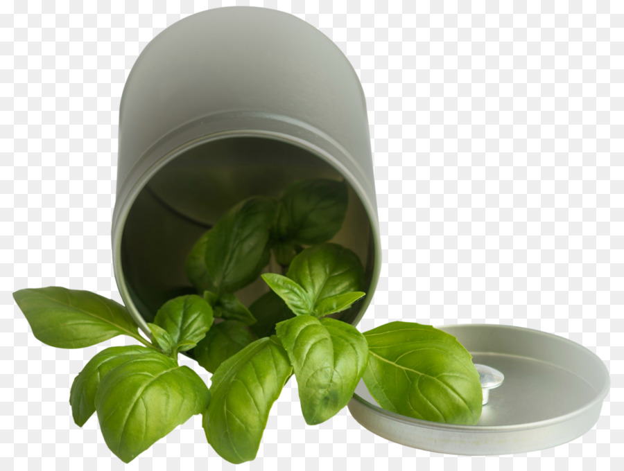 İtalyan Mutfağı，Pesto PNG