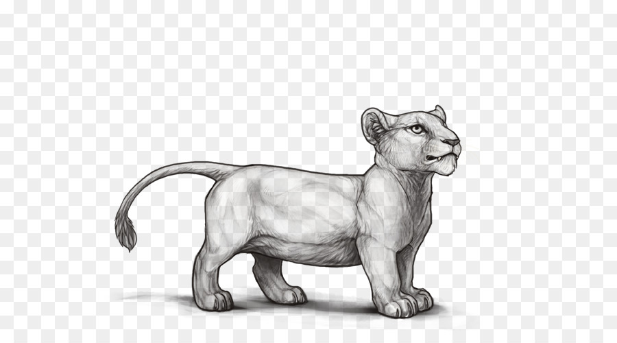 Aslan，Eskiz PNG