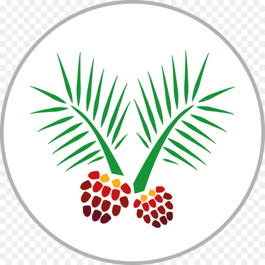 Palmiye Ağacı Logosu，Palmiye PNG