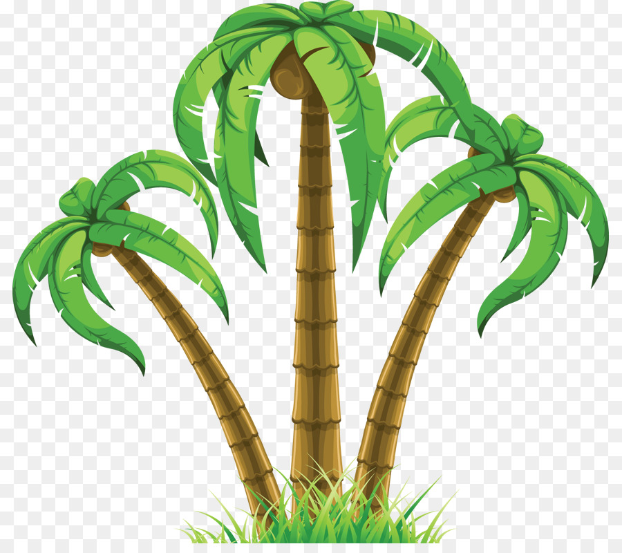 Palmiye Ağaçları，Masaüstü Duvar Kağıdı PNG