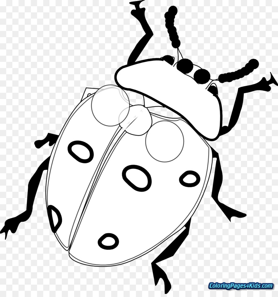 Çizim，Ladybird Böceği PNG