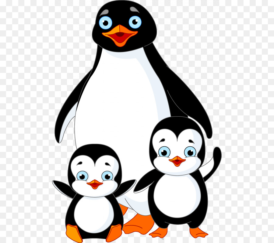 Penguen Ailesi，Penguenler PNG