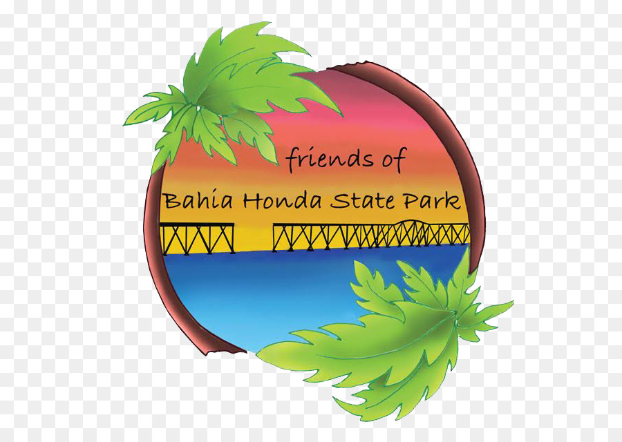 Bahia Honda Eyalet Parkı，Büyük çam Anahtar PNG