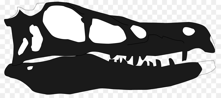 Linheraptor，Siyah Ve Beyaz PNG