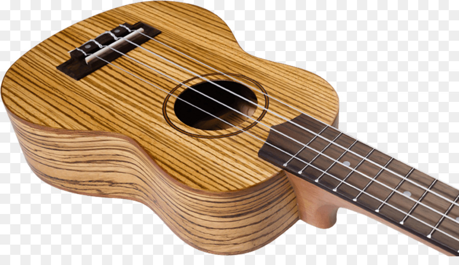 Kitara，Bas Gitar PNG