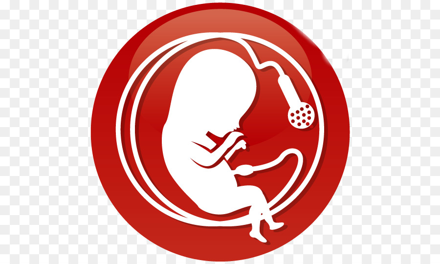 Kürtaj Savunması，Fetus PNG