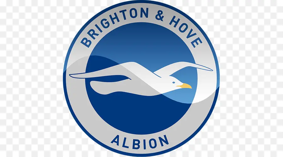 Brighton Hove Albion Logosu，Martı PNG