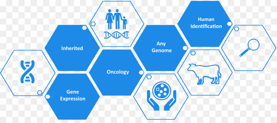 Genomik İnfografik，Dna PNG