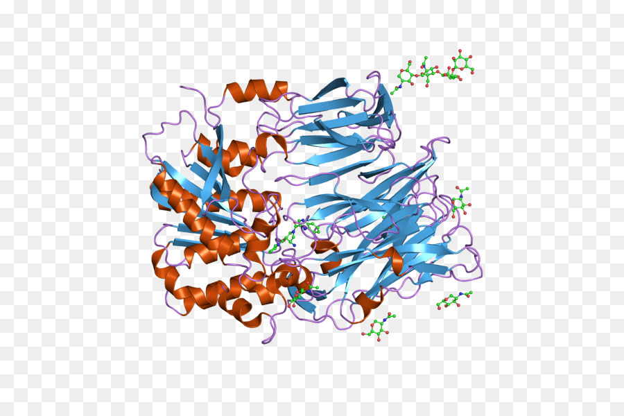 Protein Yapısı，Molekül PNG