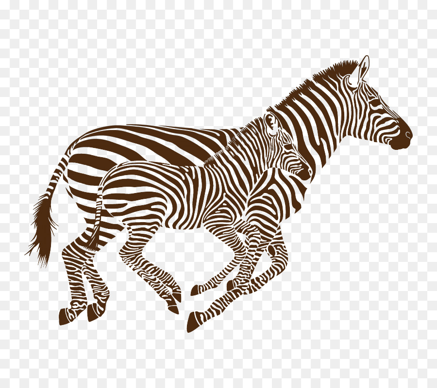 At，Zebra PNG
