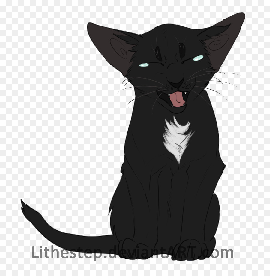 Bombay Kedi，Siyah Kedi PNG