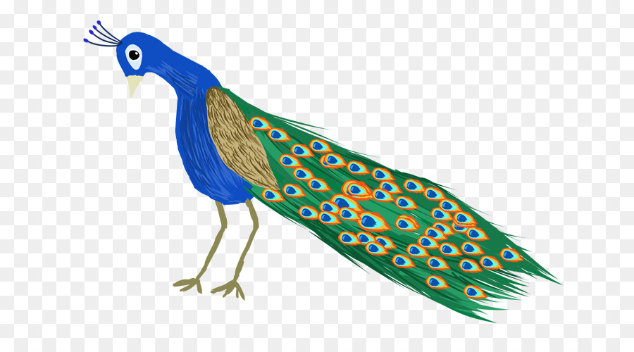 Tavus Kuşları，Sülüngiller PNG