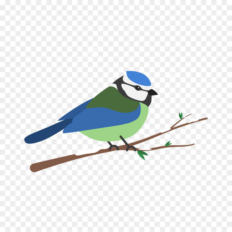 Kuş，Mavi Jay PNG