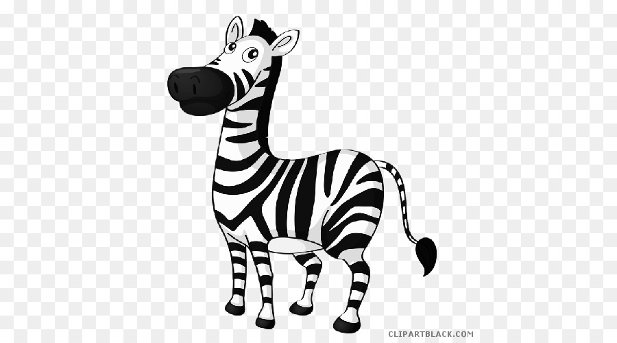 Karikatür Zebra，Çizgili PNG