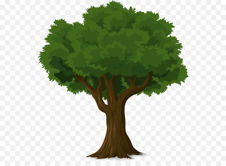 Ağaç，Gövde PNG