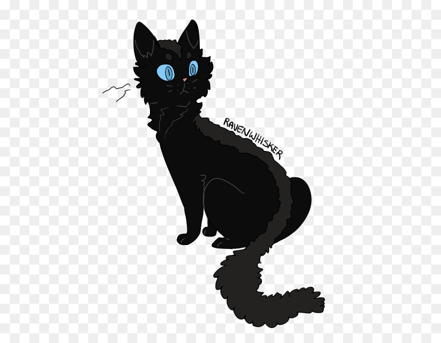 Siyah Kedi，Yerli Kısa Tüylü Kedi PNG