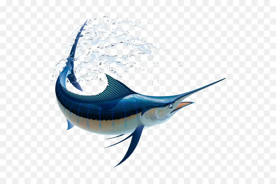 Marlin Balıkçılık，Atlantik Mavi Marlin PNG