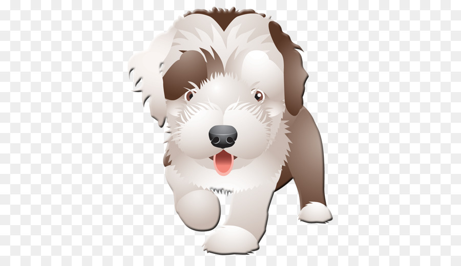 Schnoodle，Sakallı Collie PNG