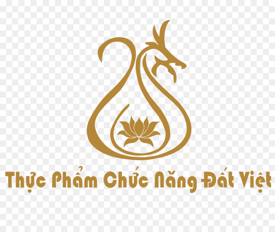 Logo，Vinil Grubu PNG
