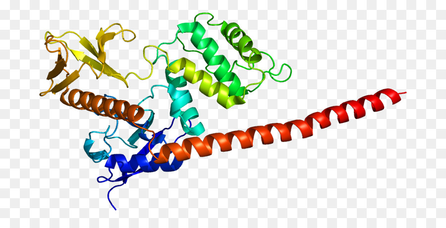 Moesain，Erm Protein Ailesi PNG