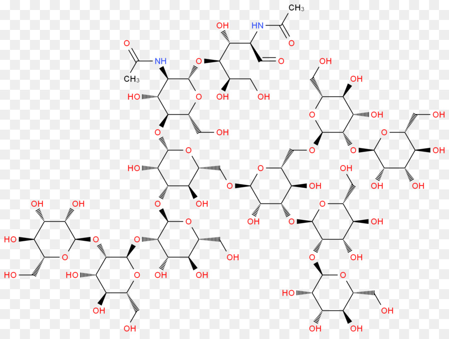 Glikan，Nasetilglukozamin PNG