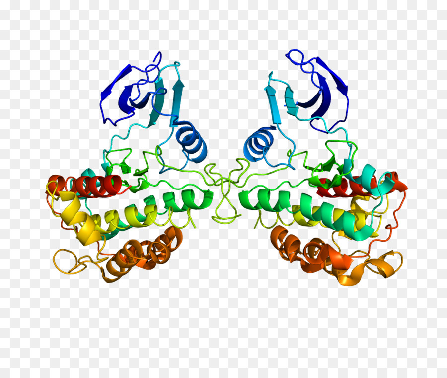 Rps6ka1，Protein PNG