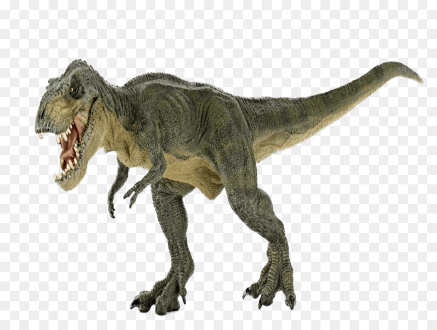 Tyrannosaurus，Stegosaurus PNG