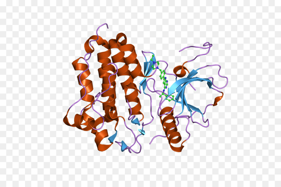 Protein Yapısı，Molekül PNG