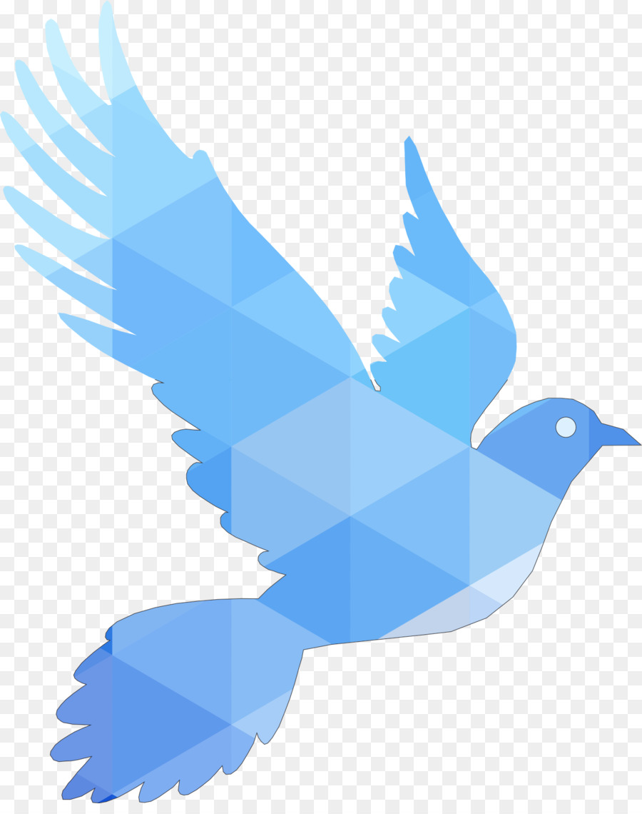 Kuş，Logo PNG