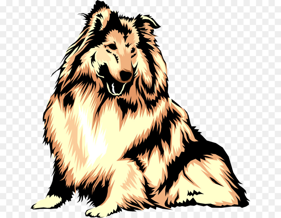 Collie Köpeği，Oturma PNG