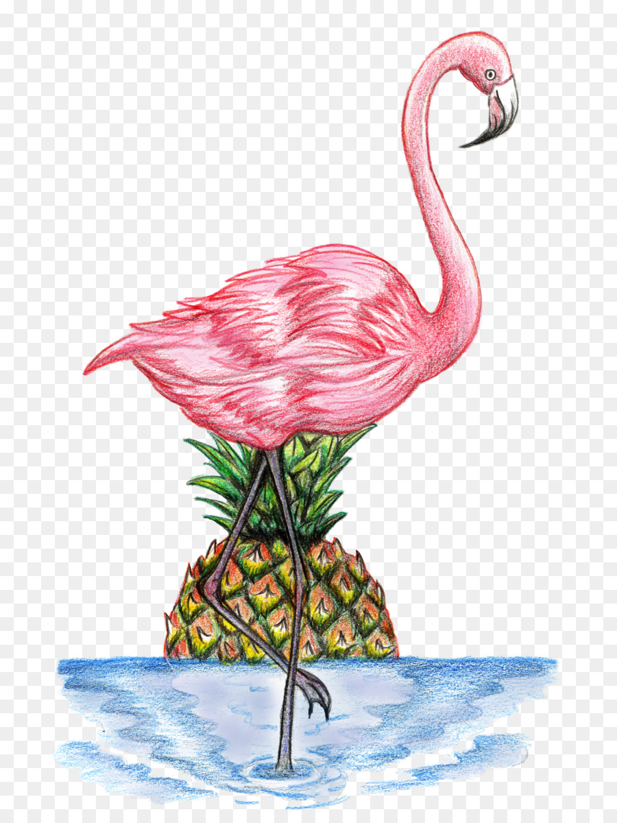 Flamingo，Ananas PNG