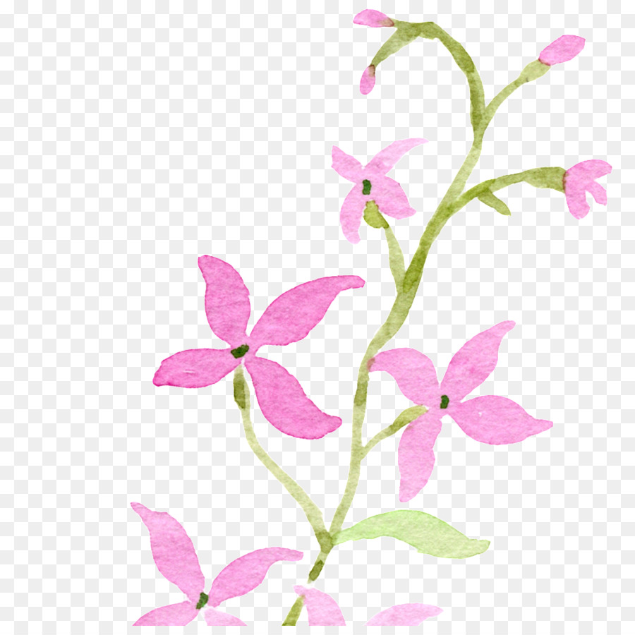 Suluboya Resim，çiçek PNG
