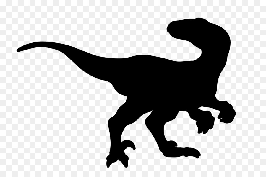 Velociraptor，Tyrannosaurus PNG