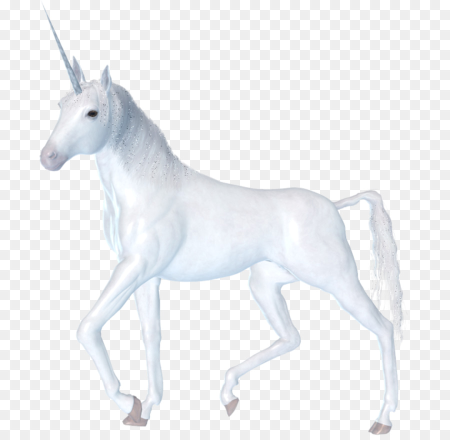 Unicorn，Boynuz PNG