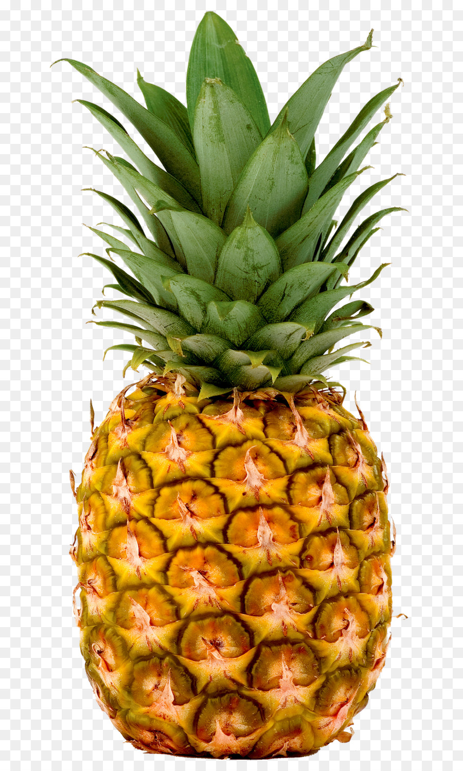 Mavi Ananas，Meyve PNG