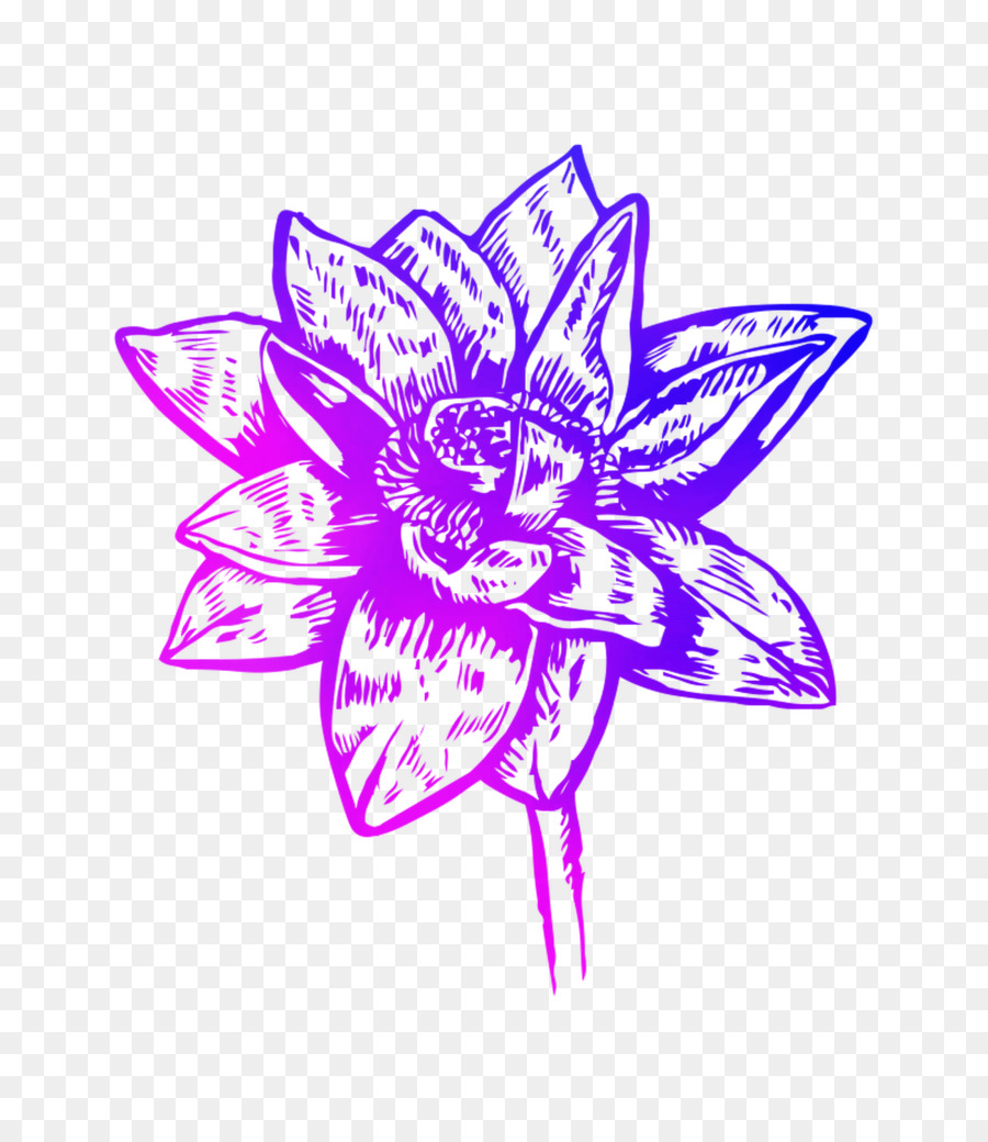 çiçek Tasarımı，Video PNG
