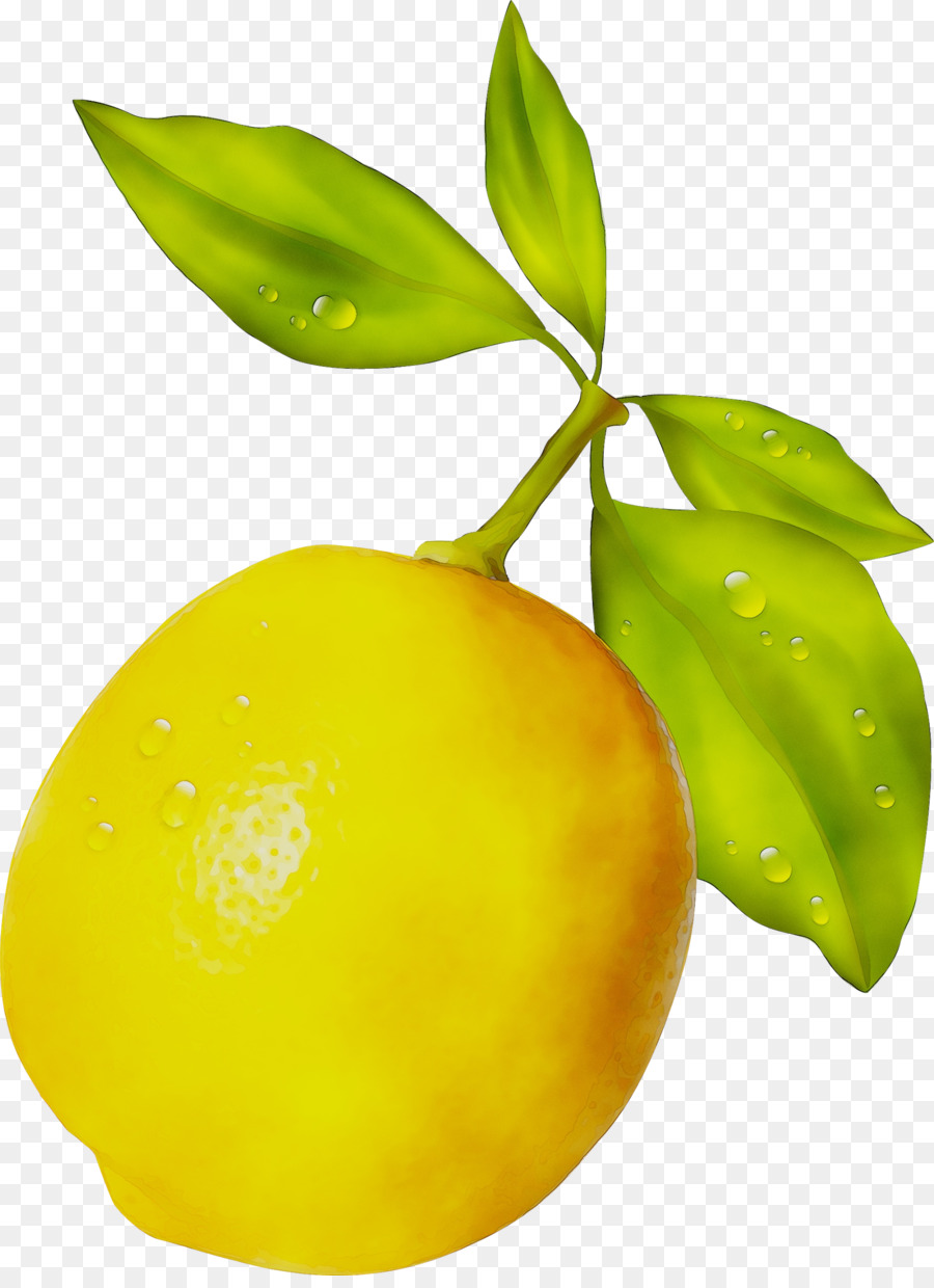 Limon，Sarı PNG