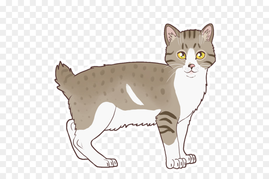 Kedi，Evcil Hayvan PNG