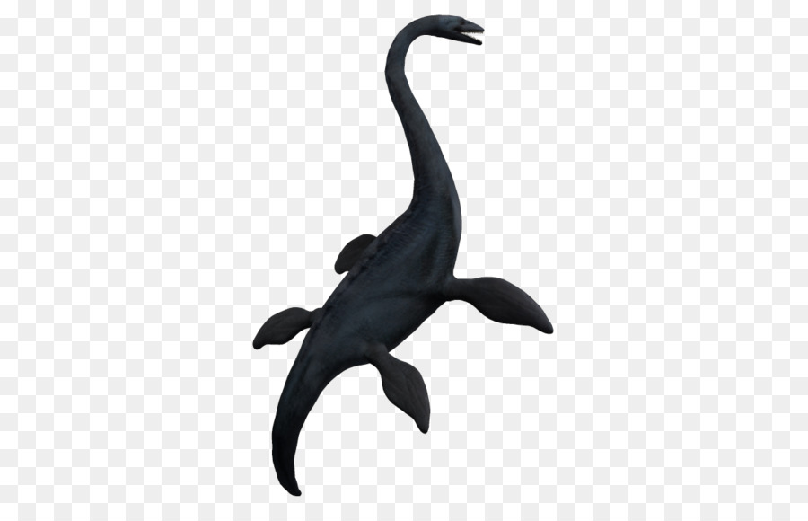 Plesiosaur，Dinozor PNG