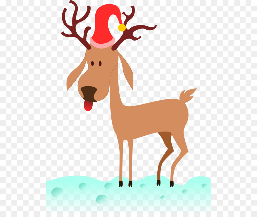 Ren Geyiği，Noel PNG