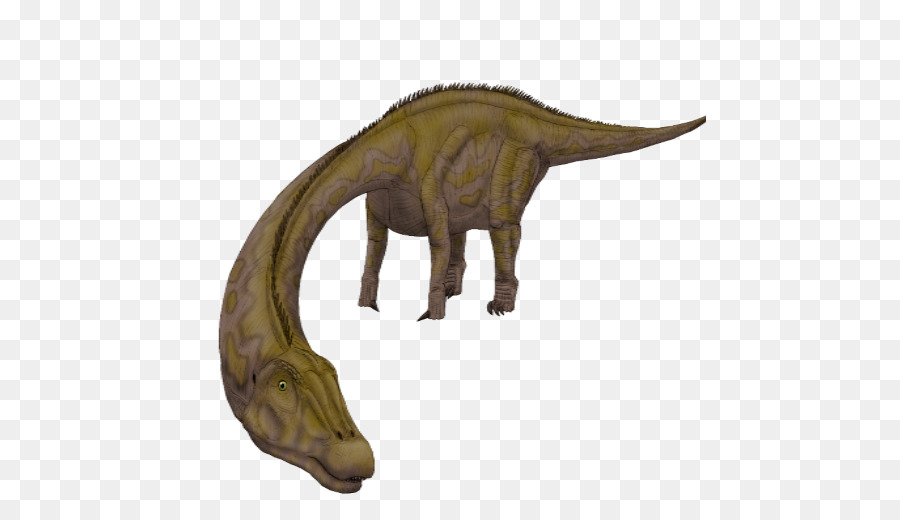 Diplodocus，Tyrannosaurus PNG