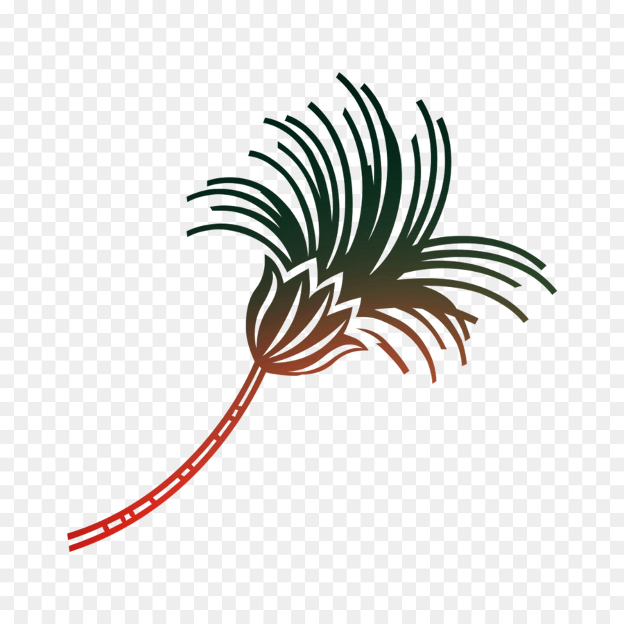 Palmiye Ağaçları，Yaprak PNG