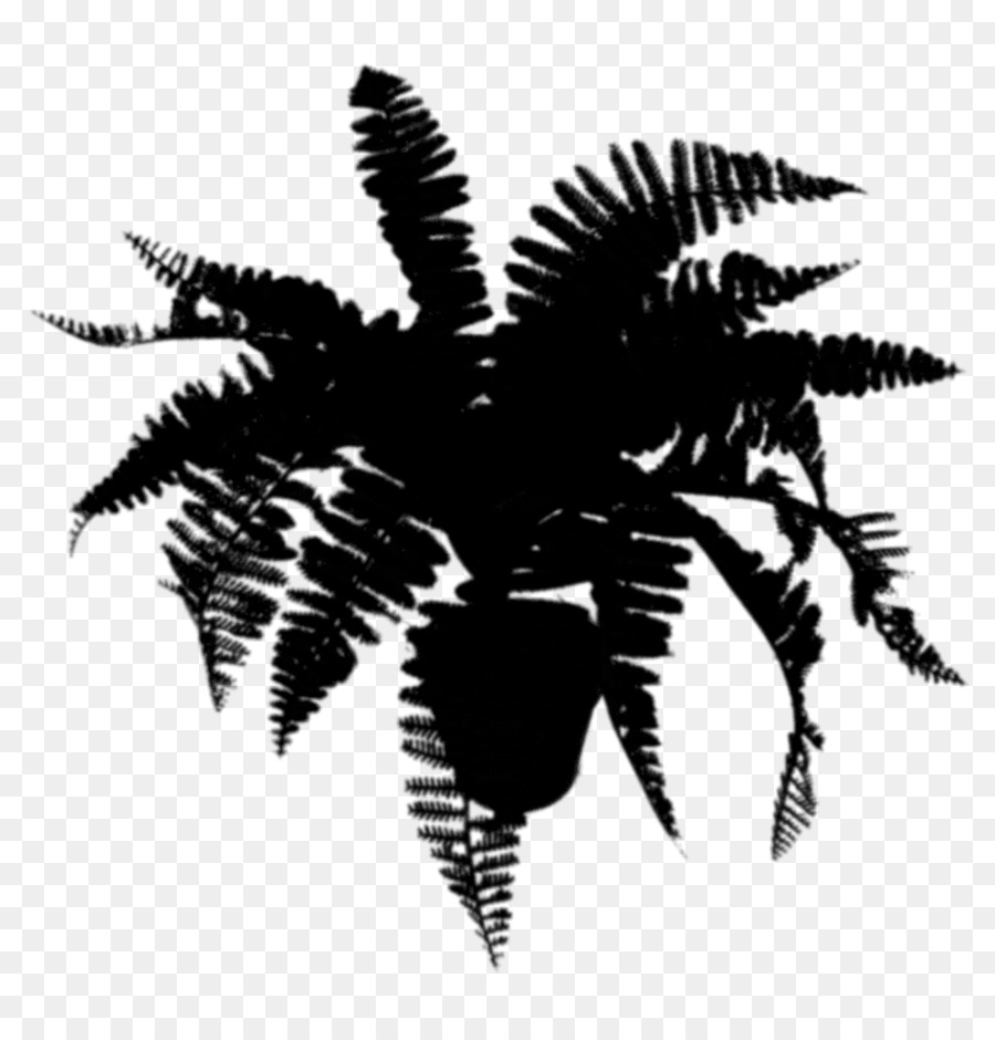 Palmiye Ağaçları，Siluet PNG