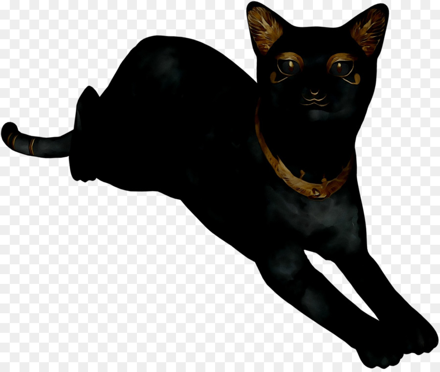 Kara Kedi，Hayvan PNG