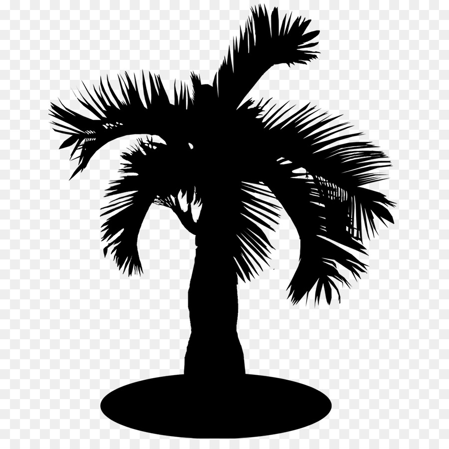 Asya Palmyra Palm，Hurma PNG